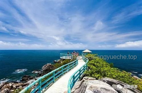 田曦薇海口行：解锁海岛城市的魅力之旅