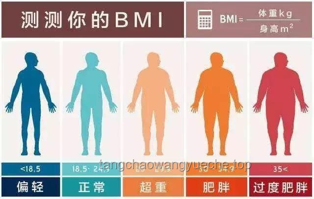 肥胖症与健康管理：从600斤男子去世事件透视行业现状与发展